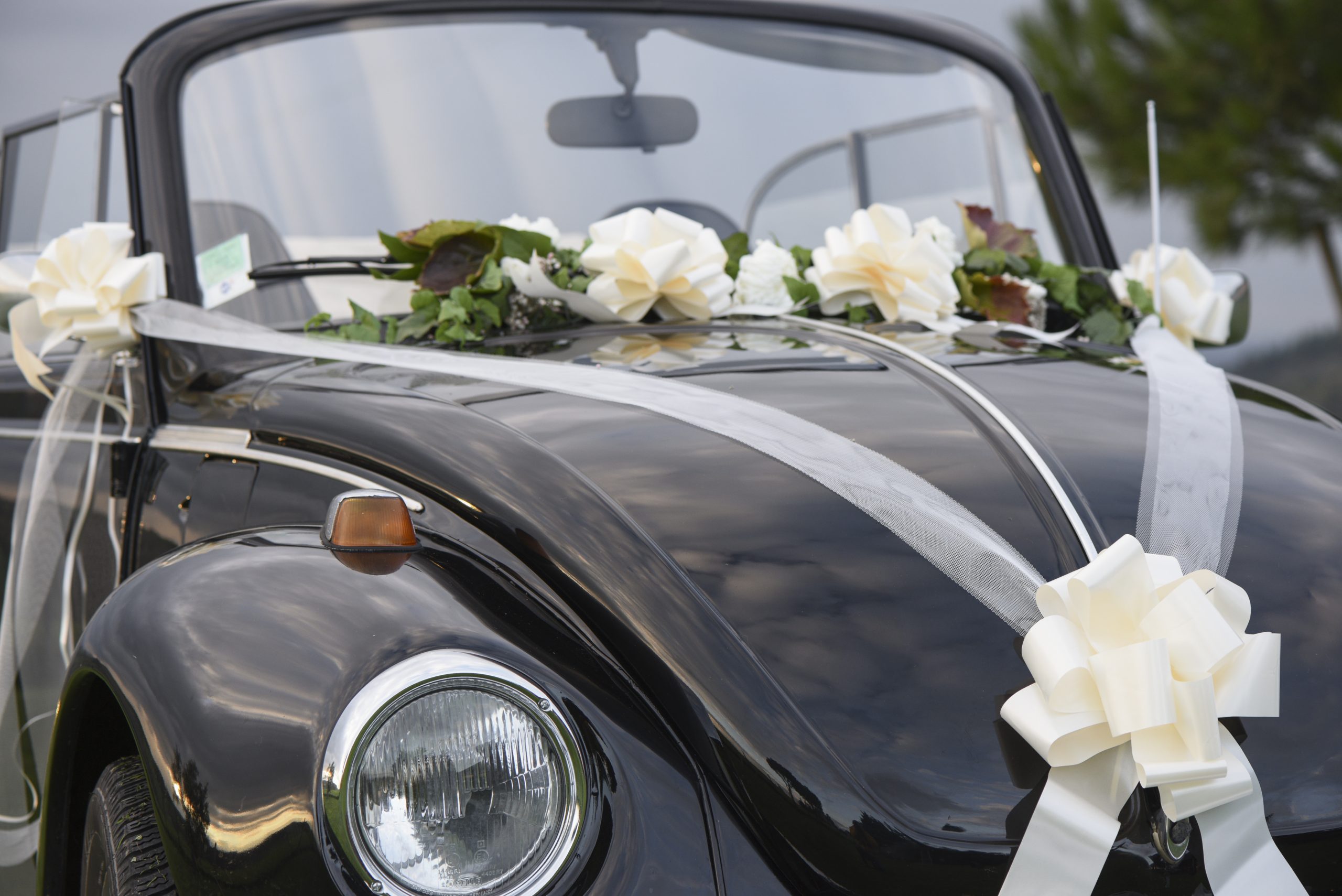 Wedding Car Ribbon and Bows Decoration Kit in White or Ivory